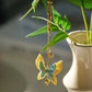 Handmade Yellow-Green Butterfly & Flower Car Mirror Hanging Accessory